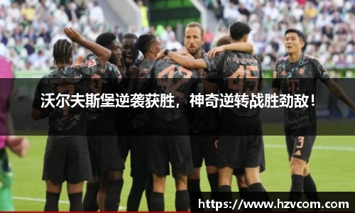 星空·综合体育中国官网
