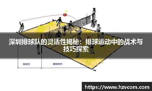深圳排球队的灵活性揭秘：排球运动中的战术与技巧探索
